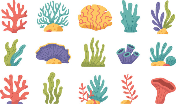 Colorful Underwater Coral Reef Vector Set with Sea Anemones Seaweeds Kelp and Marine Plants for Ocean Life Aquarium Backgrounds and Pattern Designs