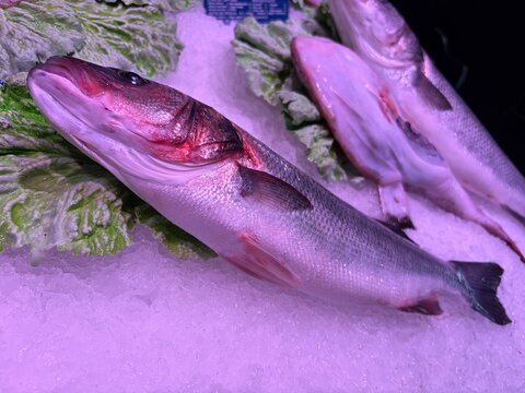 Pescado fresco sobre hielo en el mostrador de una pescader&iacute;a