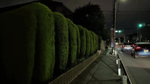 夜の住宅街に並ぶきれいに剪定された植木と道路の風景動画