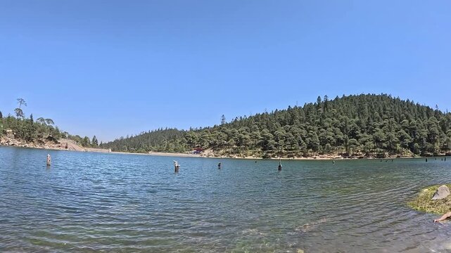 Cinematic 4K wide shot of Presa Iturbide reservoir in a windy forest with green trees, lots of water and wild birds flying over the lake
