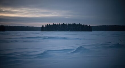 Fototapeta premium Snowy Expanse Leading Towards a Frozen Forest Landscape