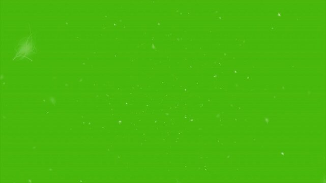 dust particles animation, floating dust overlay, subtle particle effect, green screen background