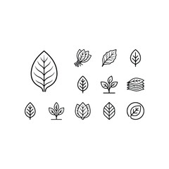Minimal Botanical Leaf Icons Set – Nature, Herbal, Eco and Organic Line Vector Collection © pangestu