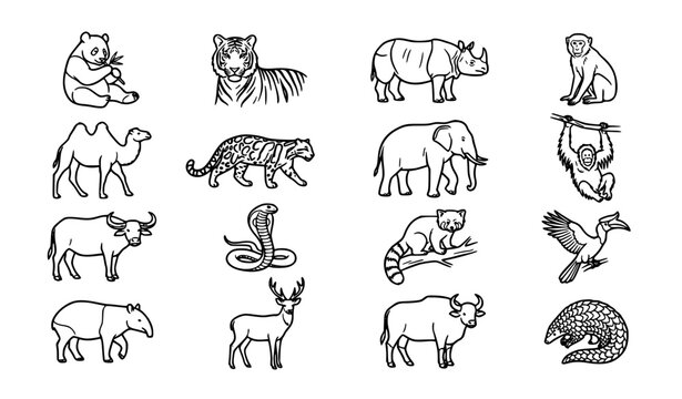 Asian Wildlife Animals Outline Icon Set Vector Collection