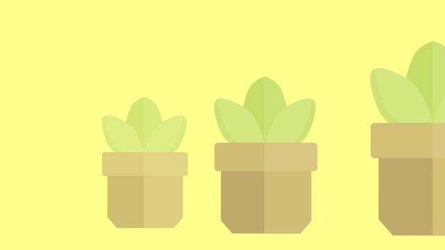 plant animation