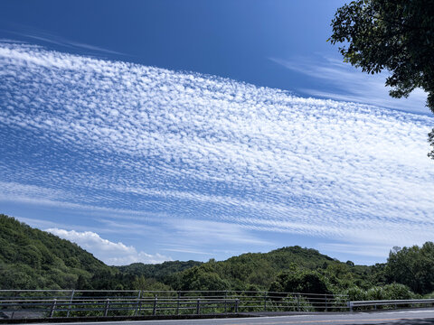  鱗雲と新緑の山々を望む道