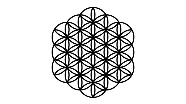 geometric flower of life pattern symbol mandala