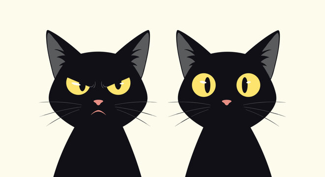 Comparison of two black cat expressions showing one feline looking extremely angry and the other looking surprised.