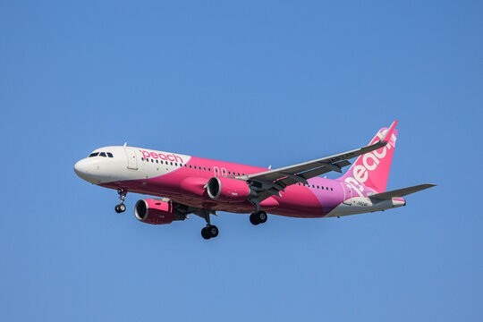 Fukuoka, Japan - May 24, 2026: A Peach Aviation Airbus A320-200 (Registration JA824P) on final landing approach against a clear blue sky to Fukuoka Airport.