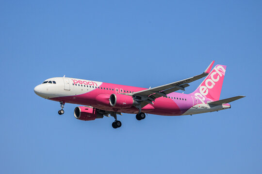 Fukuoka, Japan - May 24, 2026: A Peach Aviation Airbus A320-200 (Registration JA824P) on final landing approach against a clear blue sky to Fukuoka Airport.