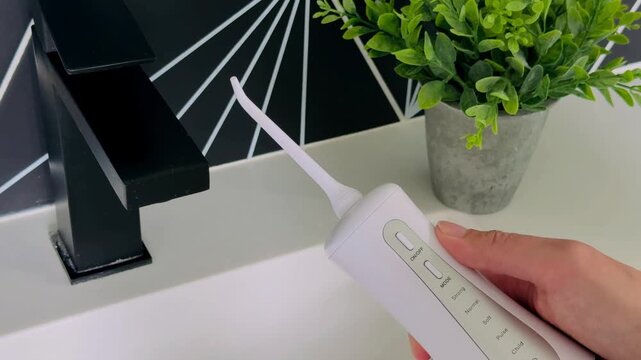 Water oral flosser control buttons near sleek black faucet and green potted plant on countertop