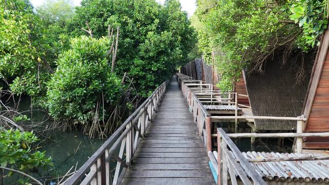 A long wooden boardwalk stretches alongside a row of unique A-frame cabins built over water, nestled between a lush mangrove forest and tranquil swamp at a serene eco-resort in a tropical setting.