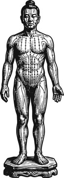 Black and white diagram of a human body displaying acupuncture meridians and pressure points, representing traditional medicine and holistic health concepts.