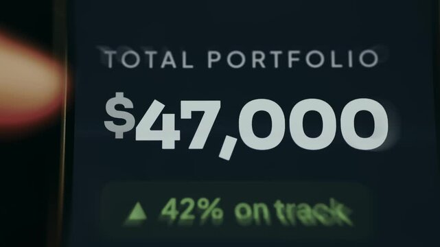 Total Portfolio Value of 47K USD with 42 percent on track