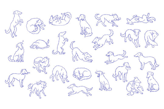 Borzoi dog outline sketch set, minimal line drawing collection, sitting running sleeping playing pose, elegant sighthound pet illustration