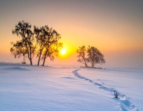 Golden Winter Sunrise Over Snow Covered Field with Tree Silhouettes and Footprint Trail