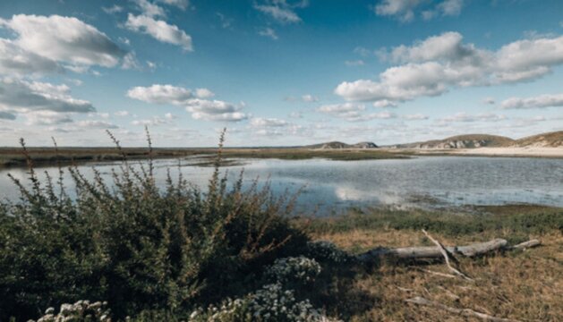 Beautiful scenic coastal wetland lake reflecting vibrant blue sky and white puffy clouds with green bushes and hills in quiet wilderness summer nature background.