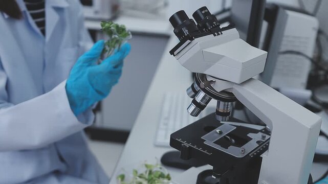 Close up scene of researcher examining alternative protein powder in sterile lab conditions with organized instruments promoting eco forward food innovation for sustainable biotechnology and nutrition