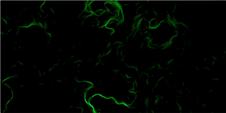 Bioluminescent green bacteria vector background, glowing microscopic organisms, abstract biological pattern for science and medical design, dark eerie texture