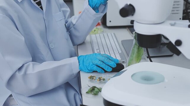 Close up scene of researcher examining alternative protein powder in sterile lab conditions with organized instruments promoting eco forward food innovation for sustainable biotechnology and nutrition