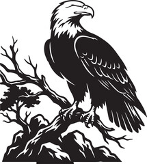 Obraz premium Bald eagle, bird, black, white, vector, illustration, wildlife, symbol, icon