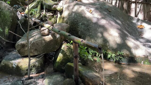 Clear spring water flows from a bamboo pipe in Vallee de Mai National Park, a UNESCO World Heritage Site, in central Praslin Island, Seychelles