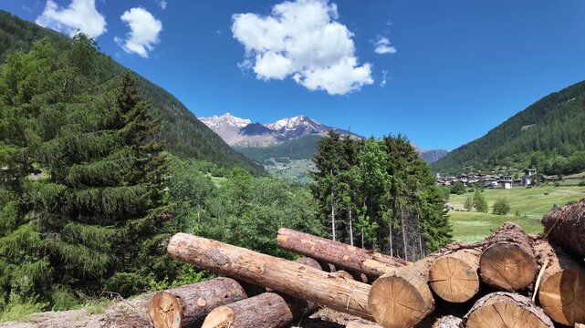 legname trentino Val di Sole pejo 