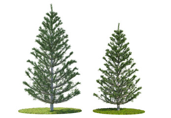Fototapeta premium High-quality 3D render of green fir trees on grass patches, isolated on a black background. Includes both side elevations and a top-down architectural plan view for landscaping and design.