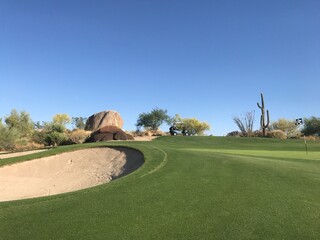 Desert Golf Course Green with Sand Bunker and Saguaro Cactus © blueringmedia