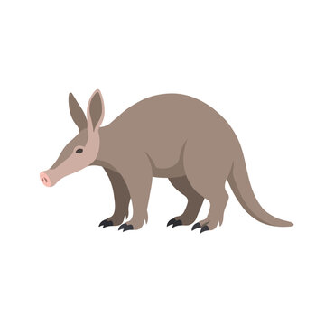 Ultra Flat Robust Aardvark Mammal Profile Vector