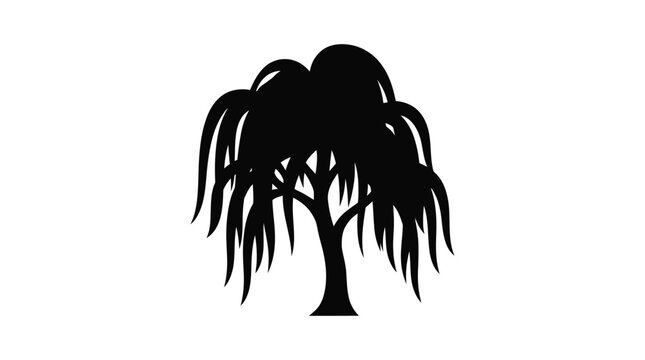 willow tree silhouette on white background black nature plant branch leafless winter