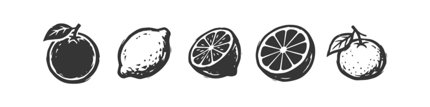 Hand Drawn Citrus Fruit Icons Set