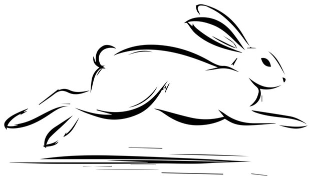 Arctic hare running at high speed in minimalist line art style on white background conveying motion and swiftness concept