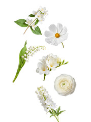Obraz premium A pristine collection of white spring and summer flowers including jasmine, cosmos, and lily of the valley.