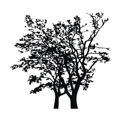 Fototapeta premium Clean Cut Abstract Branch Graphic Icon