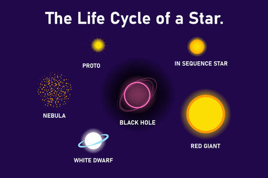 Stellar lifecycle diagram with labels nebula proto main sequence red giant white dwarf black hole, astronomy education infographic.