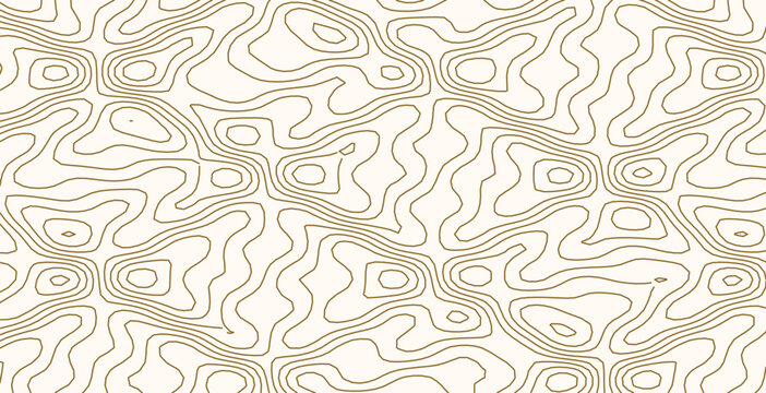 Detailed topographic map background with intricate brown contour lines and abstract terrain pattern.