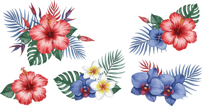 Collection of colorful tropical flowers and leaves on white background