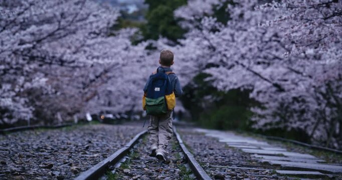 Little boy with backpack walking alone on tracks surrounded by cherry blossom trees at dusk - slow motion shot
