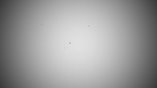 4k stock | Overlay grunge old film grain background vignette vintage texture used to create an aged look in cinematic video projects and retro photography.