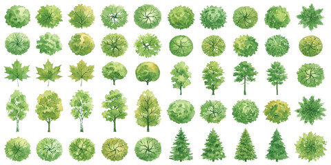 Fototapeta premium Set of various green trees and plants for architectural landscape design plan view and elevation icons collection