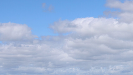 Fototapeta premium Fluffy White Cumulus Clouds Floating Across a Bright Blue Sky