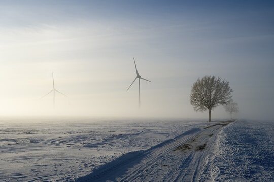 Snow-covered landscape in fog with wind turbines and a tree under a blue sky, wind turbine and tree in snow in fog, between B&uuml;lten and Solschen, Ilsede, Peine district, Lower Saxony, Germany
