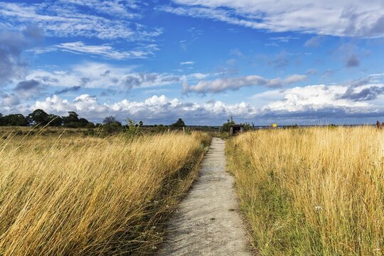 Hiking trail to Furilden nature reserve and bird sanctuary in summer, Furillen Island, near Gotland, Sweden