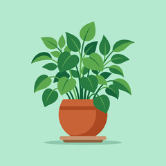 Obraz premium A simple green houseplant sits inside a round terracotta pot