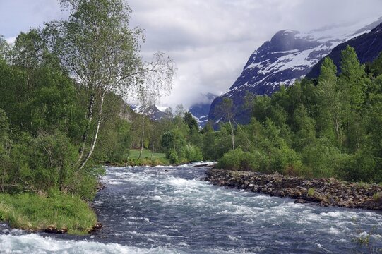 A clear river rushes through a mountain and forest landscape with snow-capped peaks in the background, Loen, Nordfjord, Norway