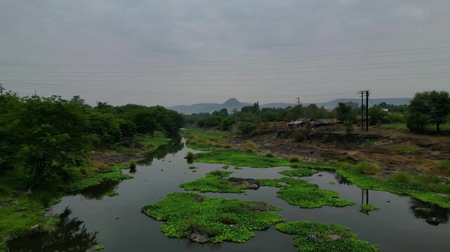 Small Riverside Patch with Green Vegetation