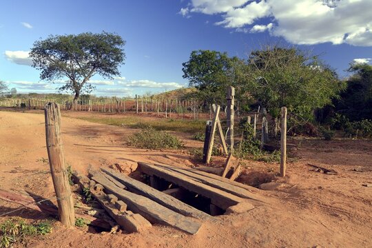 Primitive bridge of an earth road, Chapada Diamantina, State of Bahia, Brazil