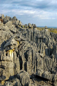 Unesco world heritage sight Tsingy de Bemaraha Strict Nature Reserve, Madagascar, Indian Ocean