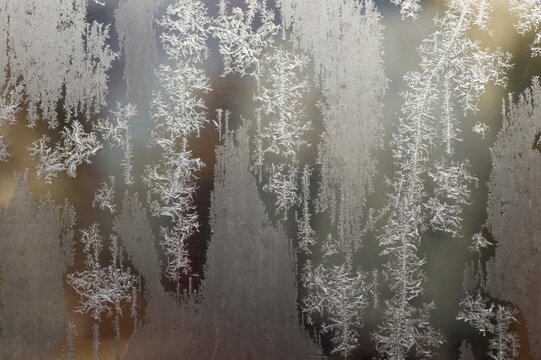 Ice crystals at glass pane
